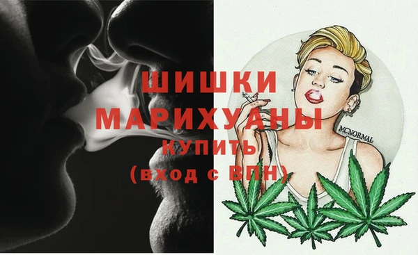 PSILOCYBIN Бугульма